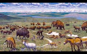 Video: Siberia Recreates Prehistoric, Ice Age Ecosystem, To Be Complete With Woolly Mammoths